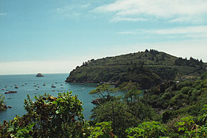 Trinidad granite mound.